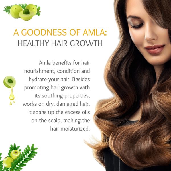 Birch And Lily Amla Hair Oil 100ml Hair Care