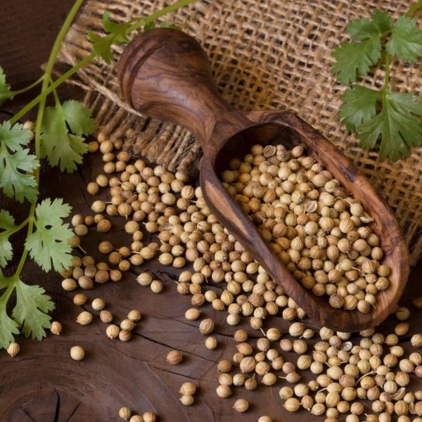 Urbeno Coriander seeds 200g Spices Whole